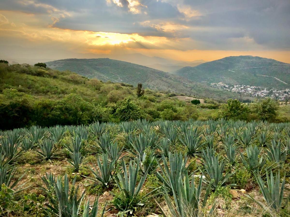 Beautiful Apartment In Oaxaca City'S Best Location Екстериор снимка